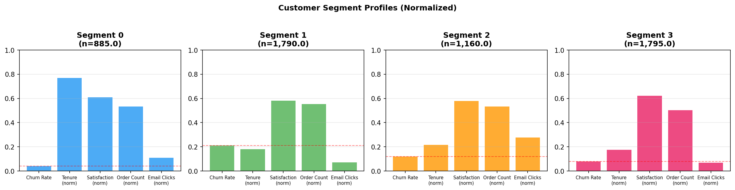Customer Segment Profiles